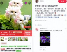 这类AI生成的假图
